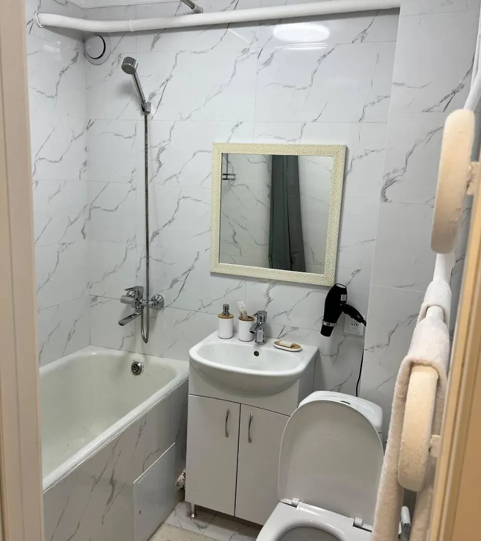 Квартира В Центре Алматы Apartment
